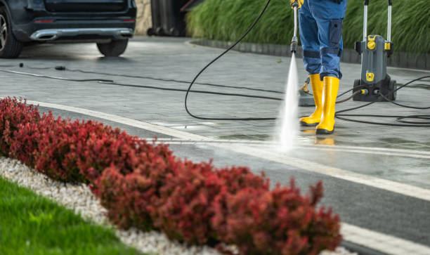 Trusted Waimea, HI Pressure Washing Services Experts